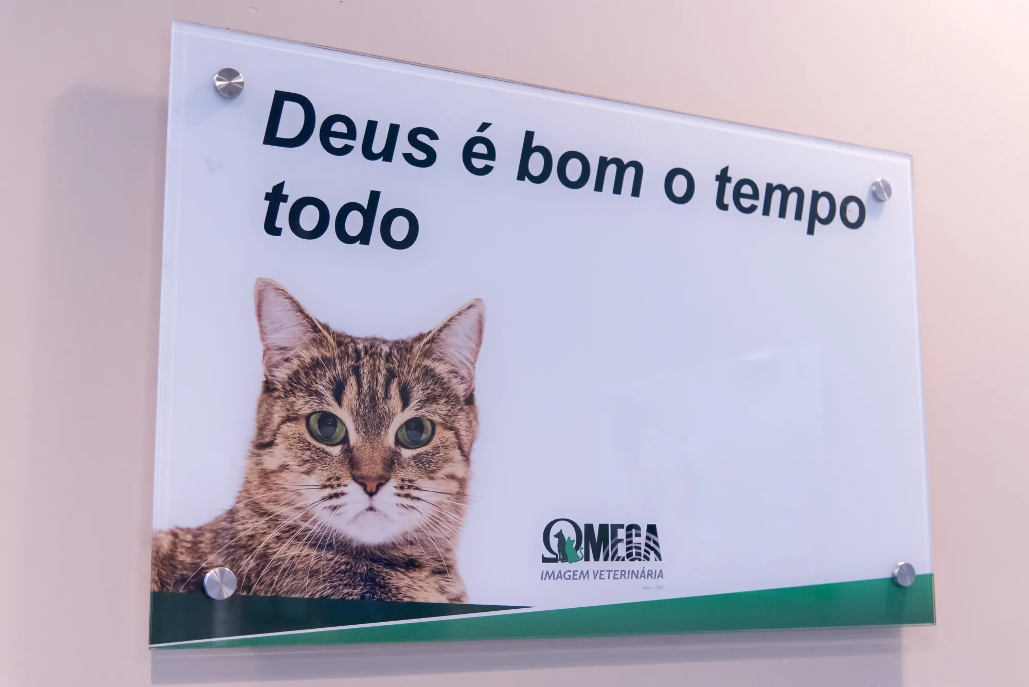 Placa com gato e a frase 'Deus é bom o tempo todo'